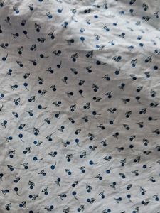 An INDIAN TERRIAN SHIRT BOYS