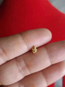 Gold Nose Pin