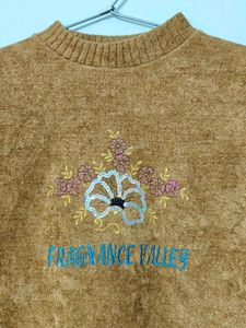 Light Brown Pullover/Sweater