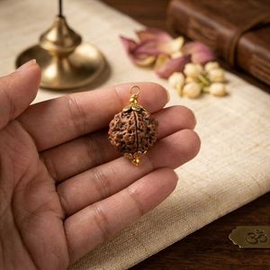 5 Mukhi Rudraksha Pendant