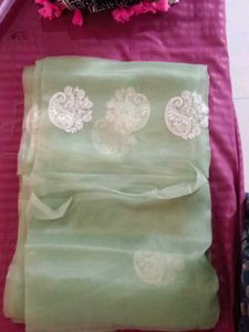 Elegant Pastel Green Saree