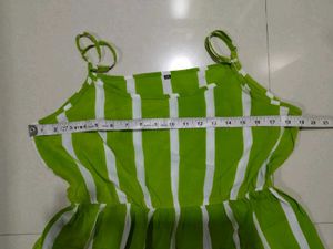 parrot cotton top
