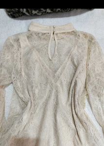 Elegant Lace Top with Bell Sleeves