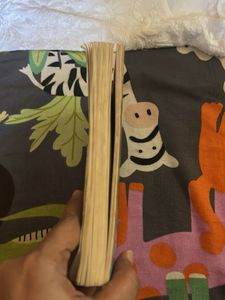 Diary of a Wimpy Kid: Cabin Fever