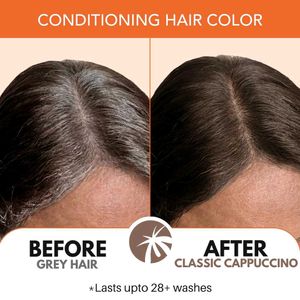 Paradyes Classic Cappuccino Hair Color