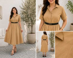 Stylish Collared Midi Dress