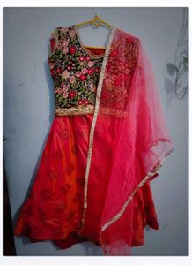 Embroidered Lehenga Choli Set