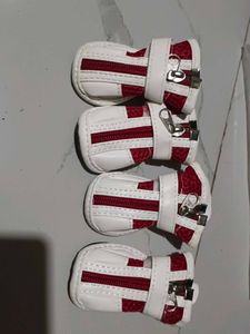 NOOTIE DOG SHOES