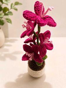 Handmade Crochet Plant