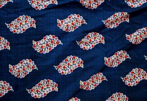 Blue Paisley Print Kurta