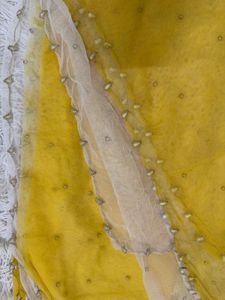 Yellow Embellished Dupatta