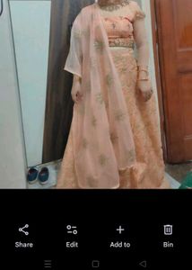 Peach Embroidered Lehenga Choli