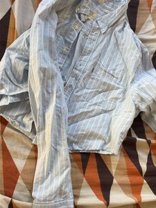 Classic Blue Striped Button-Down Shirt