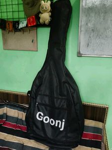 Fiera Customized Acoustic Guitar