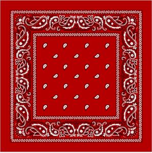 Red Paisley Bandana Scarf