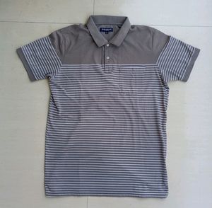 Branded T-shirt By Peter England