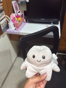 girlfriends ALERT 🎀Cute Reversible Plush Toy