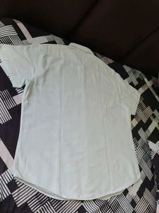 Jack Alberry Mint Green  Cotton Shirt (5XL)