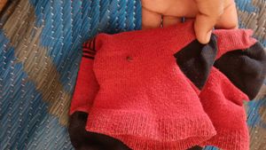 Red Striped Ankle Socks