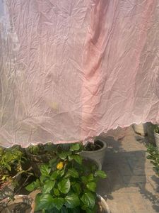 Light Pink Dupatta