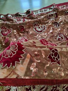Beautiful Saree Half Net