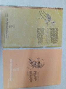 Hornbill &amp; Snapshots Class 11 Books