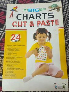 My Big Book Of Charts Cut & Paste
