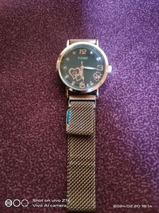 Magnet Watch