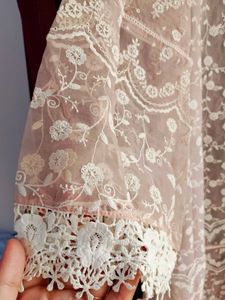 Organza Lace Kurta with Floral Embroidery