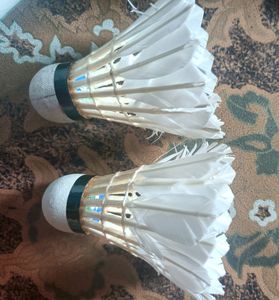 Badminton Cock
