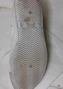White Sports Shoe.  ( Fixed Price).