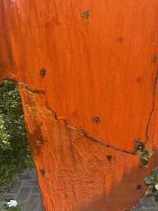 Orange Embroidered Dupatta
