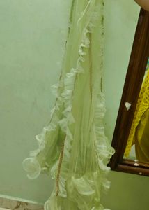 Designer Light Green Lehenga Choli