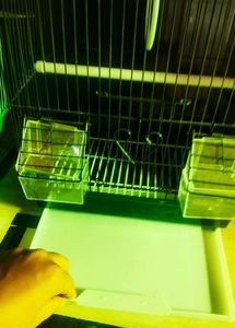 Cage Pijara