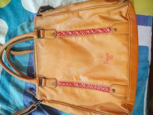 Baggit Bag