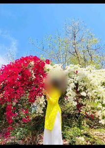 Vibrant Yellow Kurta Set