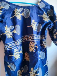 Blue Printed V-Neck Kurta