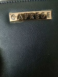 Caprese Women's Wallet - Stylish Blue
