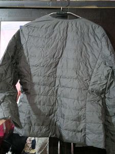 Uniqlo Light Padded Jacket