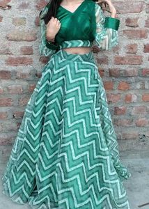 Green Lehenga Choli Set