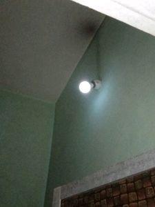 Working Night 💡 Bulb