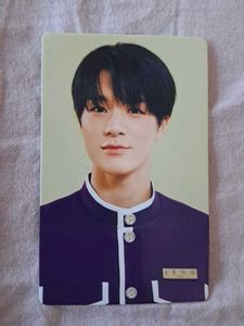 Official NCT DREAM pc