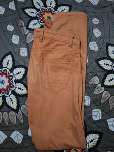 Men's Orange Casual Pants peter england
