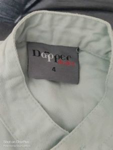 Striped Sleeve Light Green Shirt