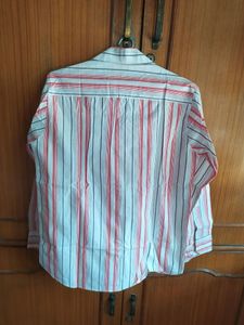 New cotton striped shirt