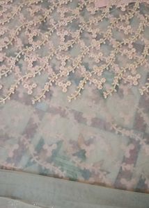 Elegant Peach Net Saree