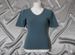Blue Short Sleeve Top
