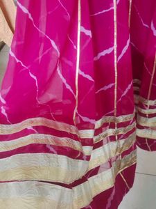 Vibrant Pink Ethnic Skirt with Gold Border