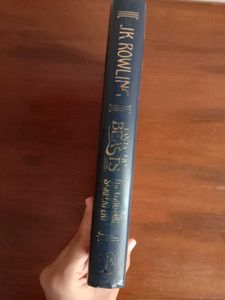 Fantastic Beasts The Original Screenplay