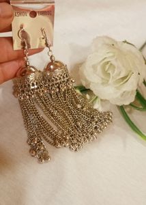 Silver Tassel Earrings